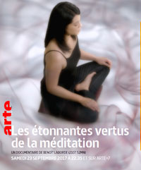 Les étonnantes verrues de la méditation