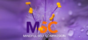 MSC - Mindful Self Compassion