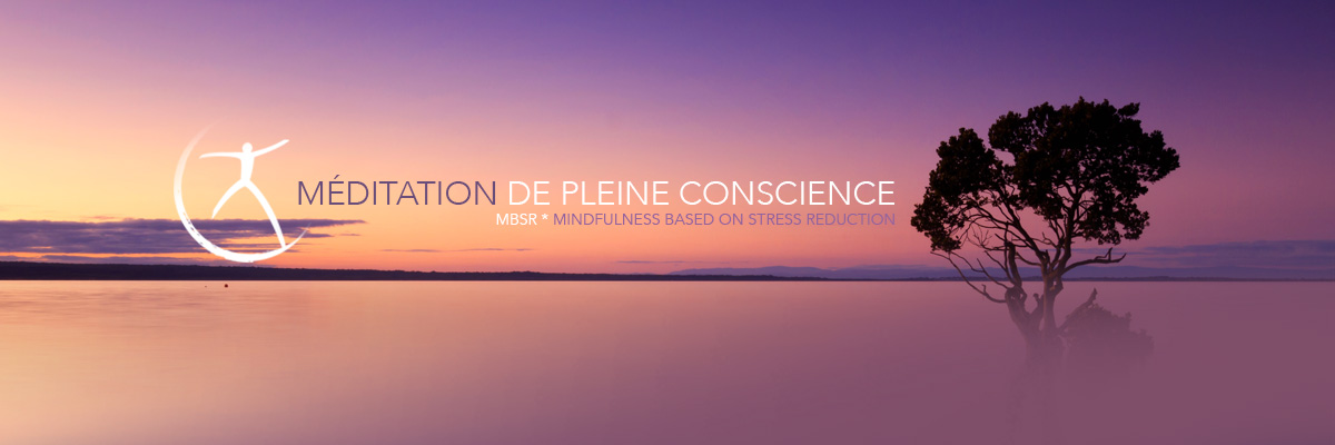Méditation de pleine conscience, MBSR, Christophe Detourbet
