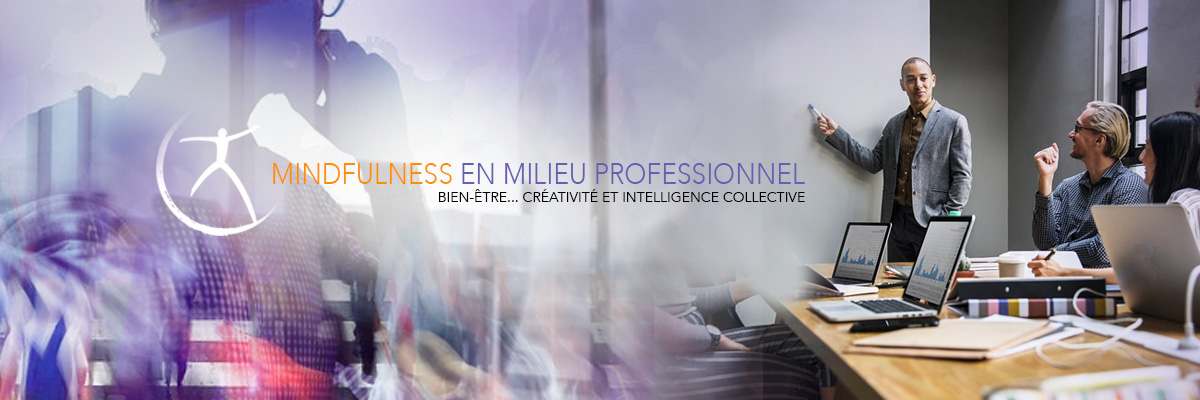 Méditation de pleine conscience, MBSR, Christophe Detourbet